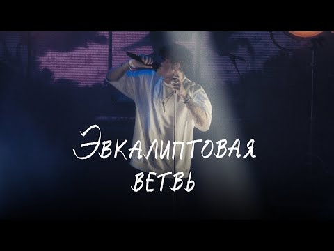 Видео: mzlff — эвкалиптова ветвь (не забытое старое ЕР, 2025)
