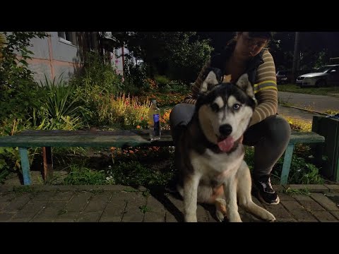 Видео: Приехала домой, а тут .... (Вечерняя прогулка)