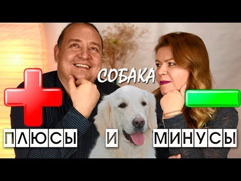 Видео: СОБАКА В СЕМЬЕ / ПЛЮСЫ И МИНУСЫ