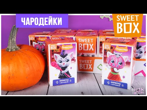 Видео: Пушистики: Чародейки в Sweet Box | Котята-волшебники в Свит Бокс