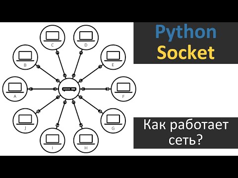 Видео: #1 | Python Socket | Как Работает Сеть?