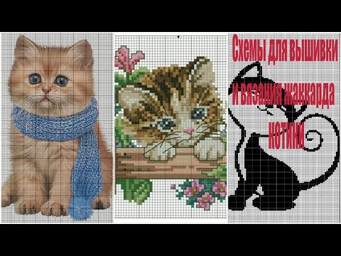 Видео: Схемы для вышивки и вязания  жаккарда КОТИКИ!!!