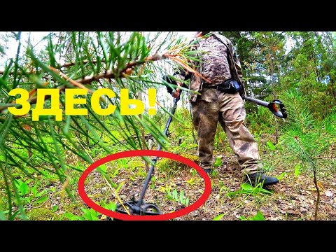 Видео: ВОТ ЭТО НАХОДКИ! В ГЛУХОМ ЛЕСУ! Коп с  Nokta Makro Simplex Plus