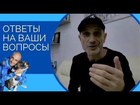 Видео: Инстаграм Рулетка(Ответы на ваши вопросы)