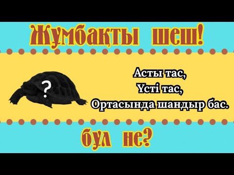 Видео: ЖҰМБАҚТЫ ШЕШ | QAZAQSHA BATTLE