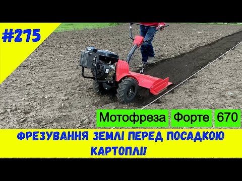 Видео: Фрезування землі перед посадкою картоплі!