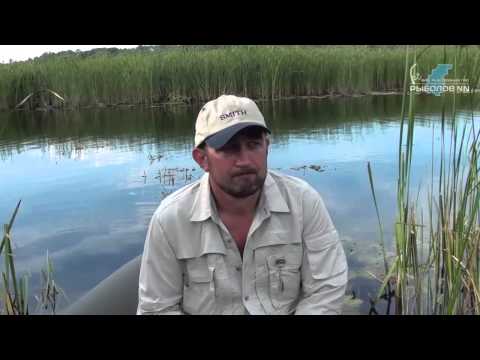 Видео: Реки Имза и Урга. Рыбалка в Нижегородской области.