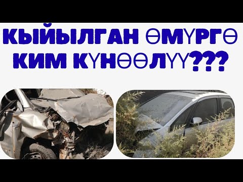 Видео: КЫЙЫЛГАН ӨМҮРГӨ КИМ КҮНӨӨЛҮҮ?