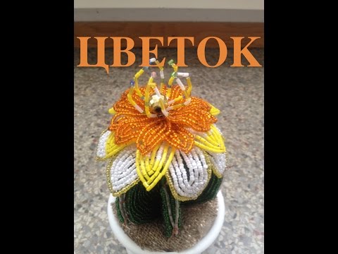 Видео: ЦВЕТОК ДЛЯ КАКТУСА из БИСЕРА. A big flower for a cactus, TUTORIAL. БИСЕРОПЛЕТЕНИЕ ДЛЯ НАЧИНАЮЩИХ