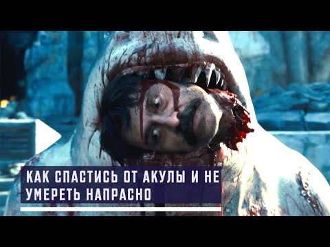 Видео: Как спастись от акулы и не умереть напрасно