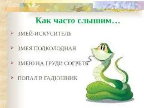 Видео: GS6941 Змея ты подколодная!