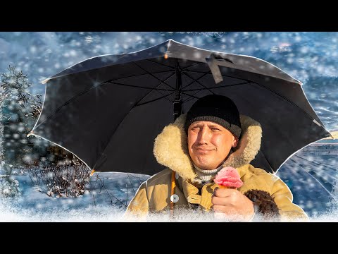 Видео: Если не наступит лето