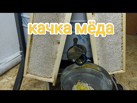 Видео: Как и какой качать мёд. Пчеловодство!