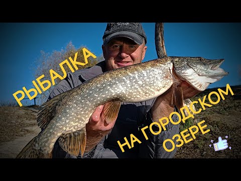 Видео: РЫБАЛКА НА ГОРОДСКОМ ОЗЕРЕ...