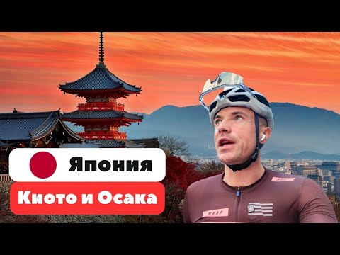 Видео: Киото и Осака: смотрим на красоту, порядок, и все остальное