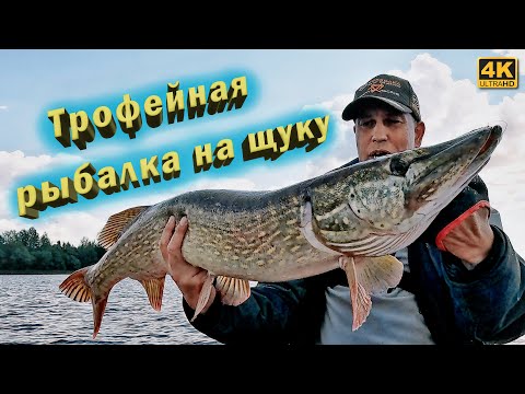 Видео: Выловил всех крокодилов в озере. Трофейная рыбалка на щуку