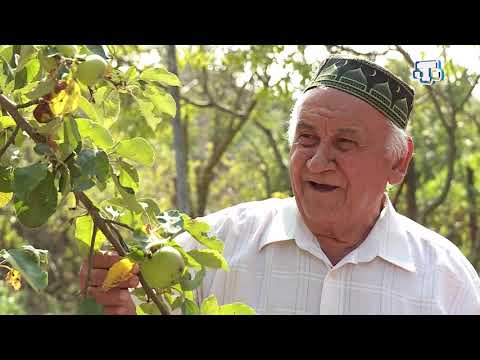 Видео: Тарих излери. Отар кою 28 11 2020