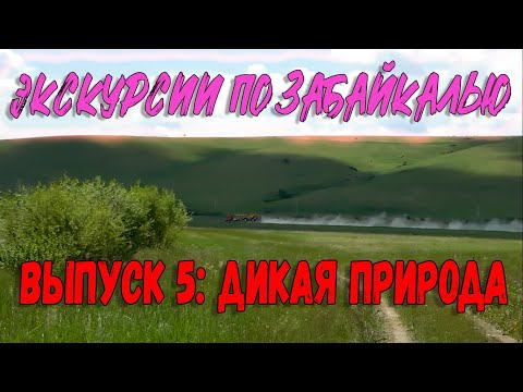 Видео: Экскурсии по Забайкалью. Дикая природа Забайкалья