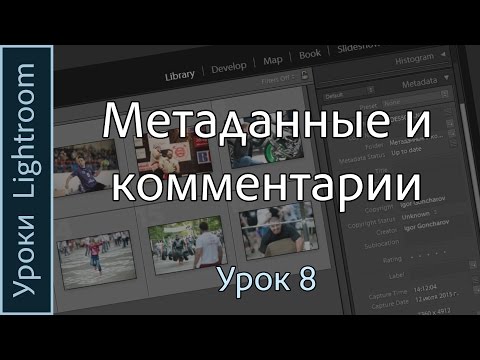 Видео: Уроки Lightroom. Урок 8. МЕТАДАННЫЕ и КОММЕНТАРИИ в Adobe LIGHTROOM.