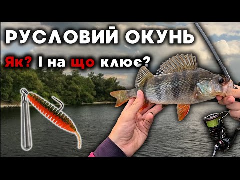 Видео: ЯК ВПІЙМАТИ ОКУНЯ НА ВЕЛИКІЙ ВОДІ?! Риболовля на Дніпрі на лайт восени 2024