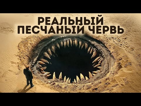 Видео: Гобийское чудовище - И другие тайны, которые наконец были раскрыты