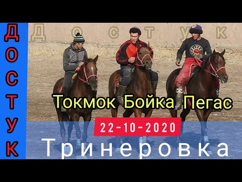 Видео: Достук / Машыгуу/ Бойка Пегас Токмок 🔥🔥🔥