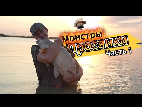 Видео: Монстры «Просянки» . Часть 1