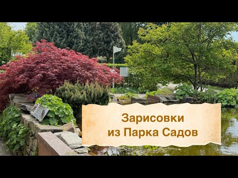 Видео: Прогулка- релакс в Парке Садов 🌳 Картины мая 🌳Цветущие рододендроны