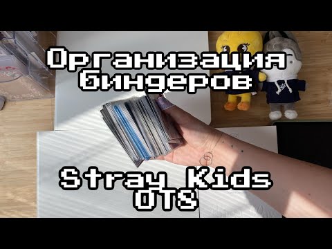 Видео: Organize and store my Stray Kids OT8 binders // Болтаем и организовываем биндеры Stray Kids OT8