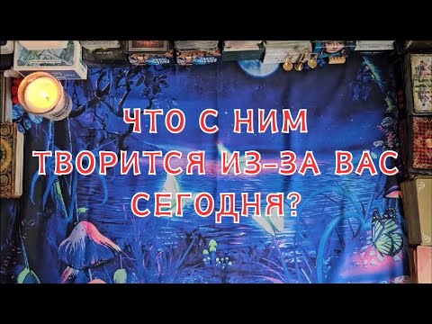 Видео: Что с ним творится из-за Вас сегодня?🔮😱💣💥🔥✨️🪄🍀