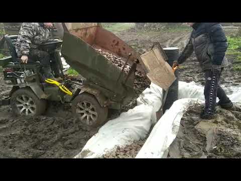 Видео: 18 октября 2025 г.