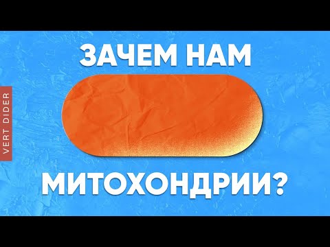 Видео: Зачем нам митохондрии? [Clockwork]