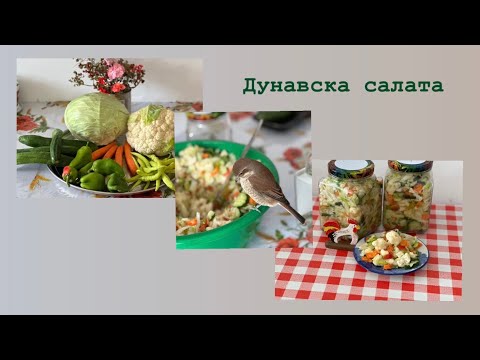 Видео: Дунавска салата -бърза туршия - Dunavska salat