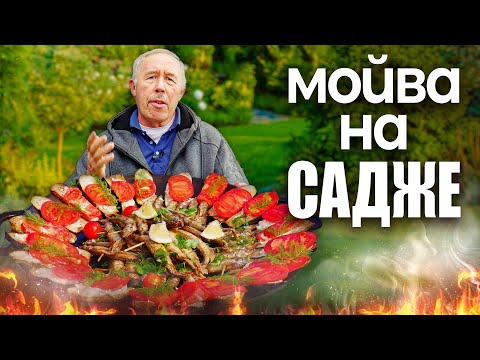 Видео: МОЙВА на ШПАЖКАХ в САДЖЕ на КОСТРЕ, с "ТЕЩИНЫМ ЯЗЫКОМ."