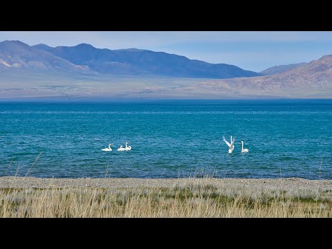 Видео: ҮЗЭСГЭЛЭНТ УВС / BEAUTIFUL UVS - 1 | PHOTO COLLECTION | PHOTO COLLECTION