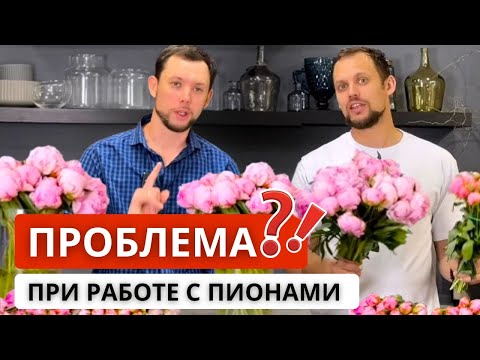 Видео: 💥3 ОСНОВНЫЕ КАТЕГОРИИ ПИОНОВ - наш опыт и разработка! Как эффективно учитывать местные ПИОНЫ?