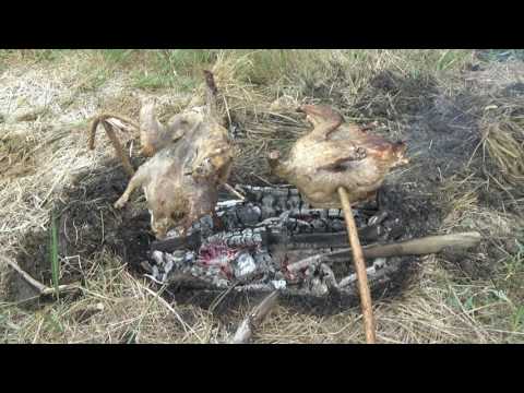 Видео: Жор у рыбы  или просто клёвая рыбалка.