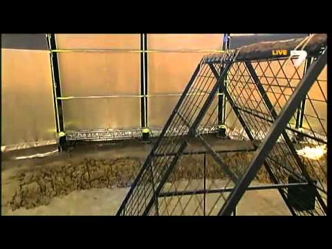 Видео: Къртицата 22.03.2014 част 1 от 11