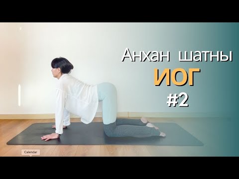 Видео: Анхан шатны иог /Beginner yoga/ #2 🌱