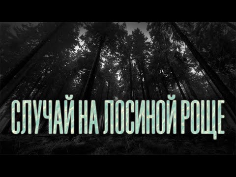 Видео: Страшная история на ночь | СЛУЧАЙ НА ЛОСИНОЙ РОЩЕ | Черный Рик