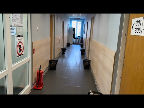 Видео: Беженец🇧🇬София. ЛЕЧУ В БУДАПЕШТ. ПЕРЕВЕС БАГАЖА. ЭЛЕКТРО-ТАКСИ. КАФЕ HAPPY РУЛИТ! 