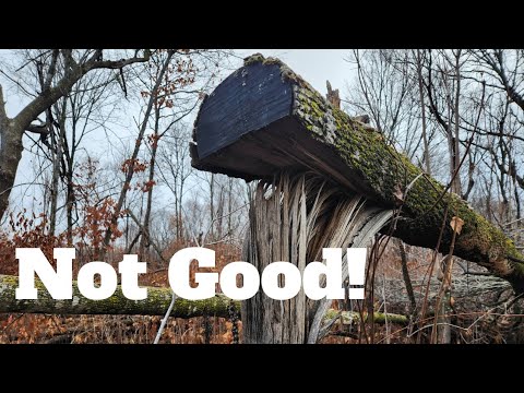 Видео: Не совершайте эти 5 распространённых ошибок при выборе места для лежки оленей/зоны для лежки с ша...