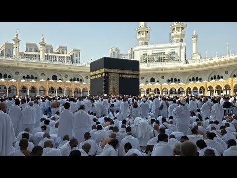 Видео: 8 ноября 2025 г.