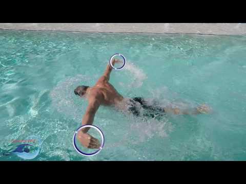 Видео: Научитесь плавать баттерфляем. Часть 2