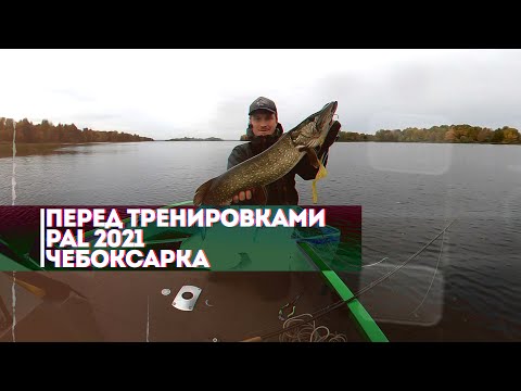 Видео: Удачная рыбалка на щуку перед открытием тренировок PAL 2021 на Чебоксарском водохранилище