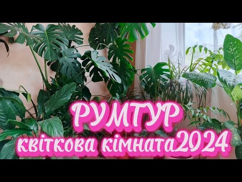 Видео: РУМТУР 🌿 КВІТКОВА КІМНАТА 2024🌿💚🌸🌺🫶