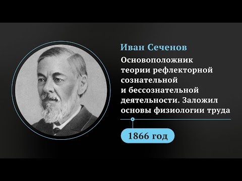 Видео: «Лучший отдых – это смена деятельности!» Иван Сеченов научил мир работать и спать по 8 часов