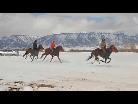 Видео: Конный праздник в Усть-Коксе.