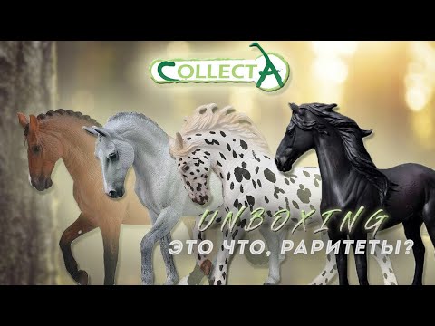Видео: РАСПАКОВКА ЛОШАДЕЙ COLLECTA 2 ЧАСТЬ / РЕДКИЕ МОДЕЛЬКИ