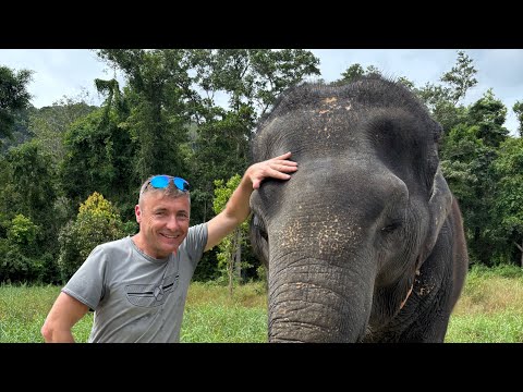 Видео: Bukit Elephant park парк слонов Пхукет